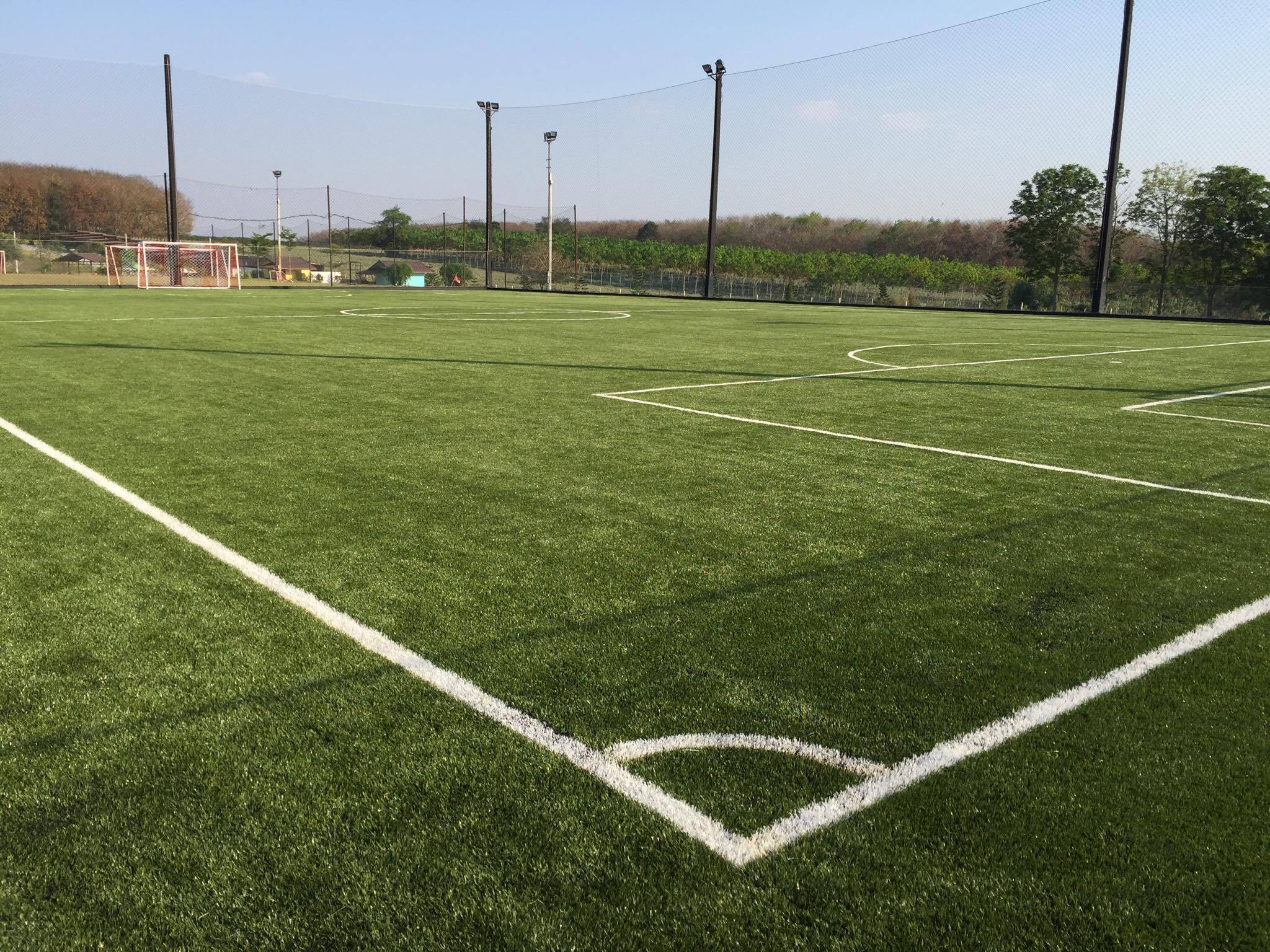 หญ้าเทียมสำหรับสนามฟุตบอล หญ้าปลอมขนยาว 5 cm