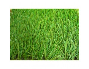 หญ้าเทียมสนามฟุตบอล yttf-501s