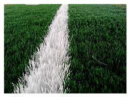 หลังติดตั้ง<br/>สนามบอลหญ้าเทียม สปป. ลาว