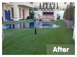 หลังติดตั้ง</br>สถ​านที่ติดตั้งหญ้าเทียม : พัทยา</br>ชนิดของหญ้าเทียม : YTT-35