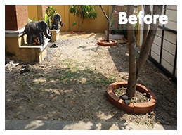 ก่อนติดตั้ง</br>สถ​านที่ติดตั้งหญ้าเทียม : สายไหม</br>ชนิดของหญ้าเทียม : YTT-35