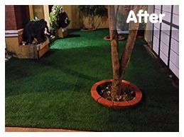 หลังติดตั้ง</br>สถ​านที่ติดตั้งหญ้าเทียม : สายไหม</br>ชนิดของหญ้าเทียม : YTT-35