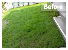 ก่อนติดตั้ง</br>สถ​านที่ติดตั้งหญ้าเทียม : ชลบุรี</br>ชนิดของหญ้าเทียม : YTT-25