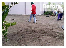 ก่อนติดตั้ง</br>สถ​านที่ติดตั้งหญ้าเทียม : พัทยา</br>ชนิดของหญ้าเทียม : YTT-25